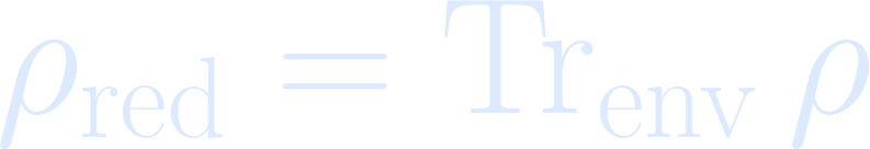Equation for Step 25: Reduced Density Matrix and Decoherence