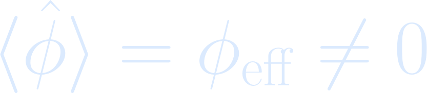 Equation for Step 40: Order-Parameter Growth